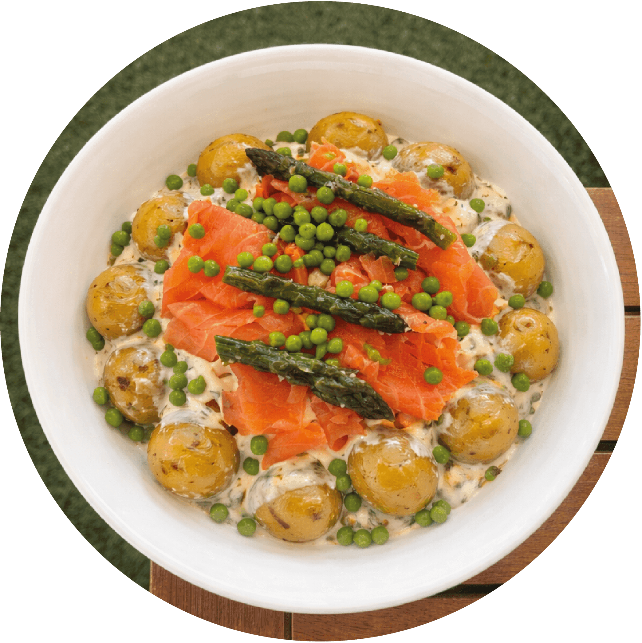 NORDIQUE PDT.png image